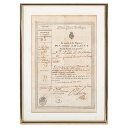 453 - PASAPORTE DE PRINCIPIOS DEL SIGLO XIX