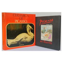 315 - DOS LIBROS SOBRE PICASSO