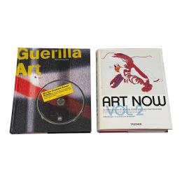 495 - DOS LIBROS DE ARTE CONTEMPORÁNEO