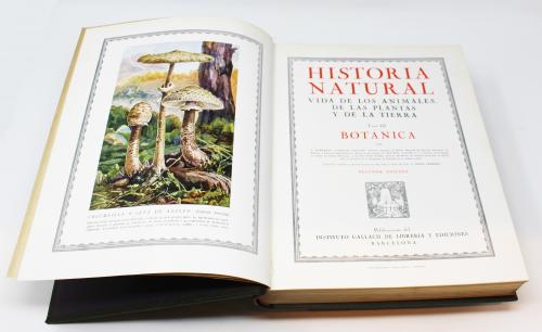 "HISTORIA NATURAL"
