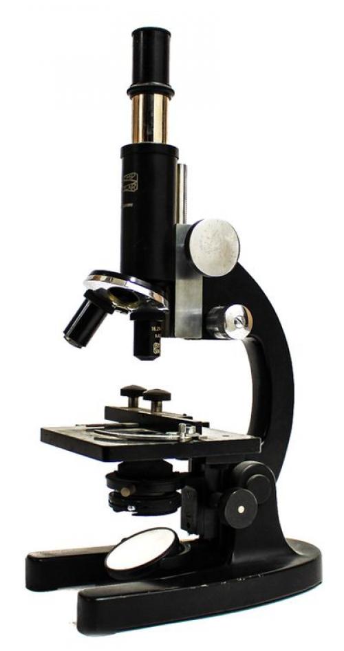 MICROSCOPIO