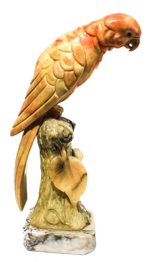 "LORO SOBRE RAMA"