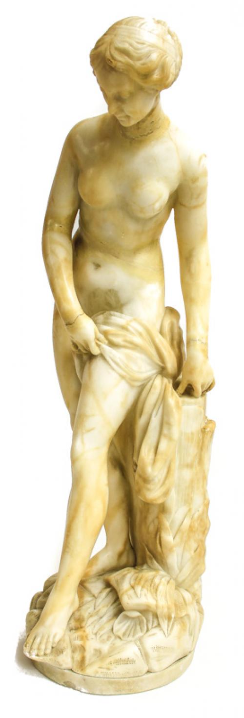 "VENUS"
