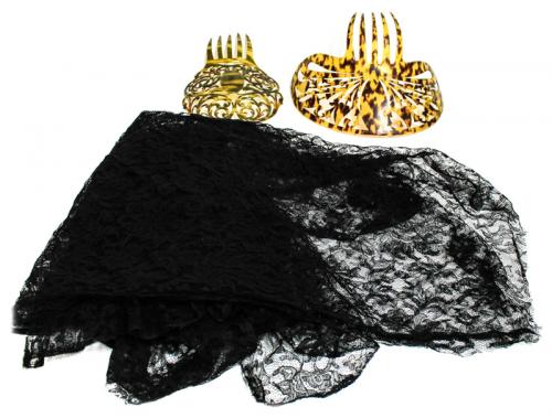 MANTILLA Y DOS PEINETAS