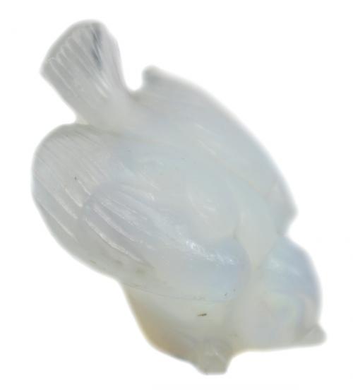 "PÁJARO"