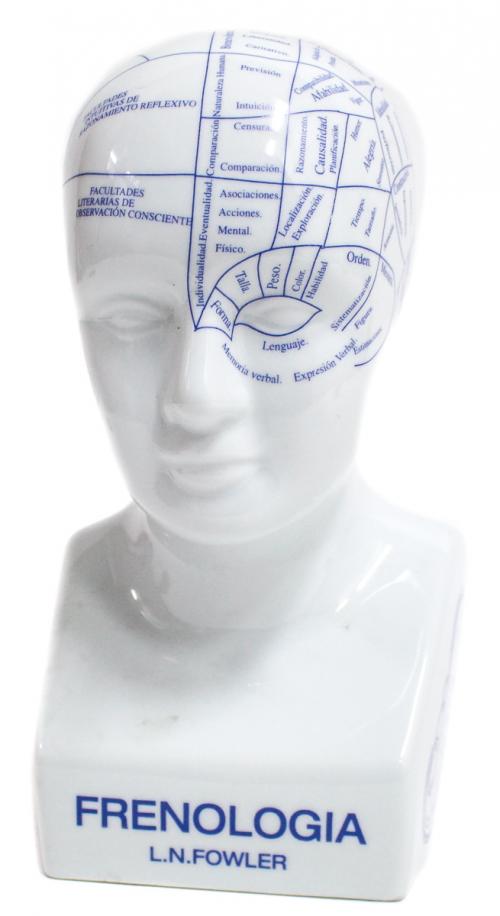 BUSTO DE FRENOLOGÍA