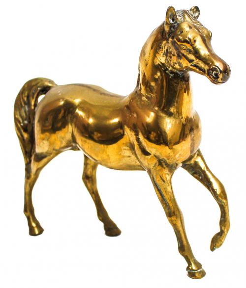 "CABALLO"
