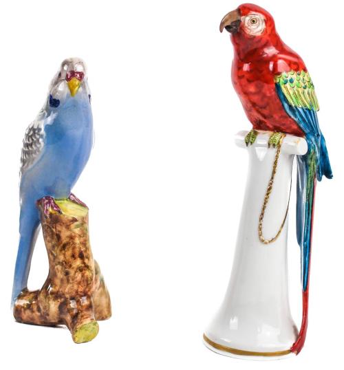 "LORO" Y "PERIQUITO"