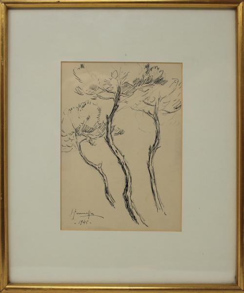 TERRUELLA MATILLA, JOAQUIM