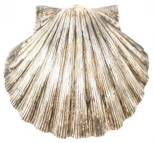 CONCHA BAUTISMAL EN PLATA