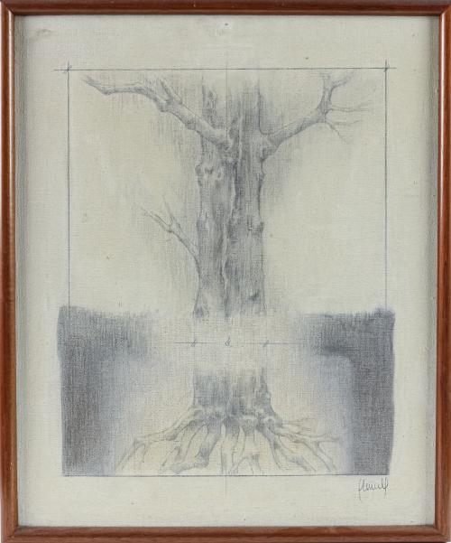 PLANELL, CARLES
