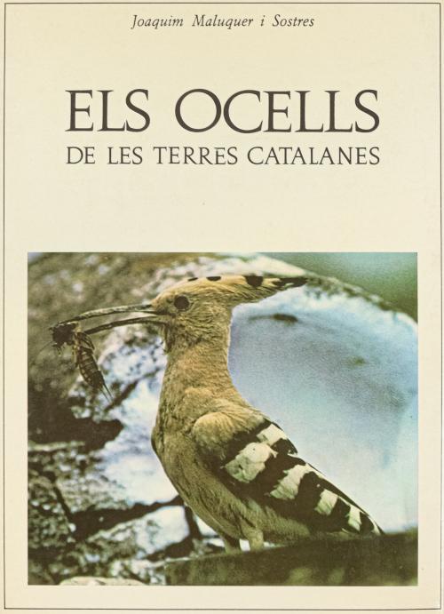"ELS OCELLS DE LES TERRES CATALANES"