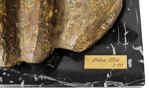 MIR, PILAR