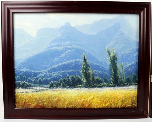 COLLDECARRERAS, PERE
