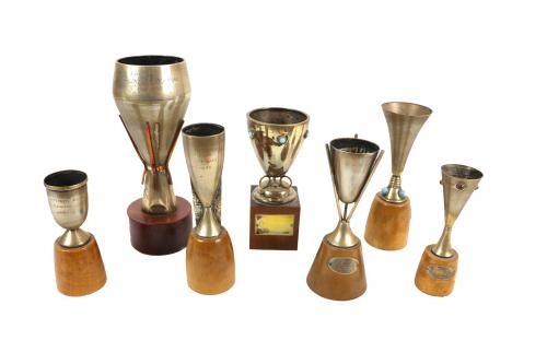 LOTE DE TROFEOS DE PLATA