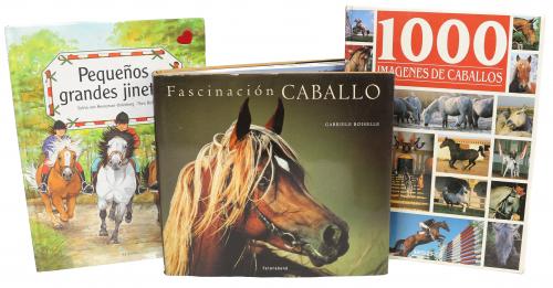 LOTE DE TRES LIBROS