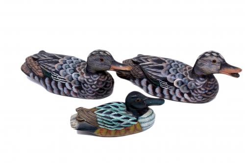 TRES PATOS DE RECLAMO