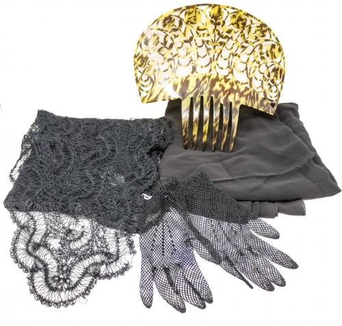 PEINETA, PICO, GUANTES Y MANTILLA LISA