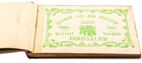 "FLORES DE TIERRA SANTA. JERUSALEM"