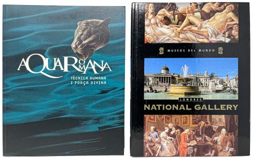 DOS LIBROS DE ARTE