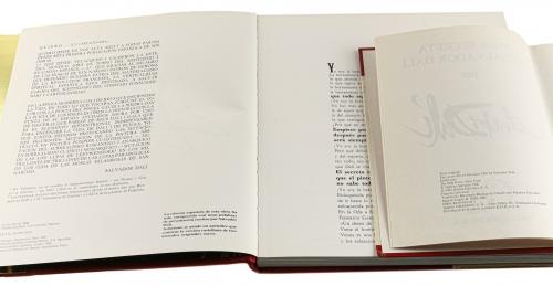 DOS LIBROS SOBRE DALÍ