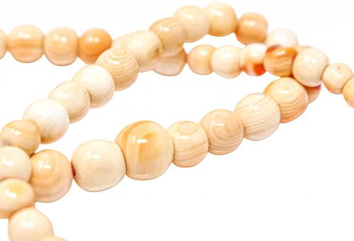 COLLAR DE CORAL