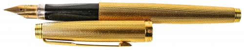 PLUMA PARKER 585