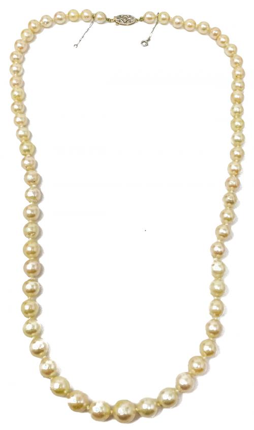 COLLAR DE PERLAS DE PPS. DEL S.XX