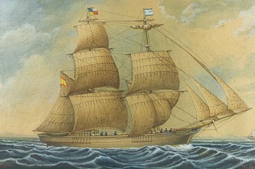 PINEDA GUERRA, JOSÉ