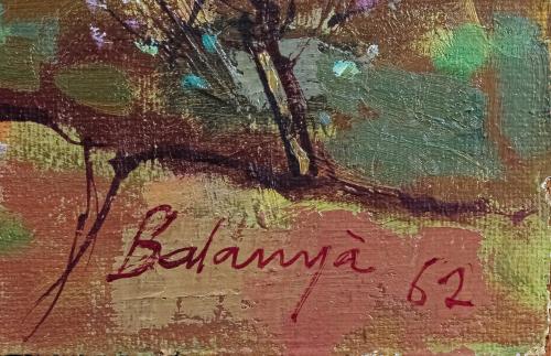 BALANYÀ