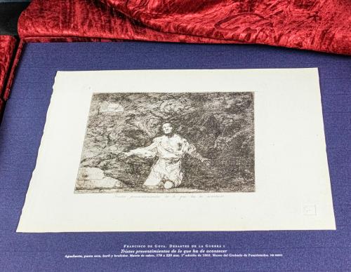 "DESASTRES DE LA GUERRA DE FRANCISCO DE GOYA"