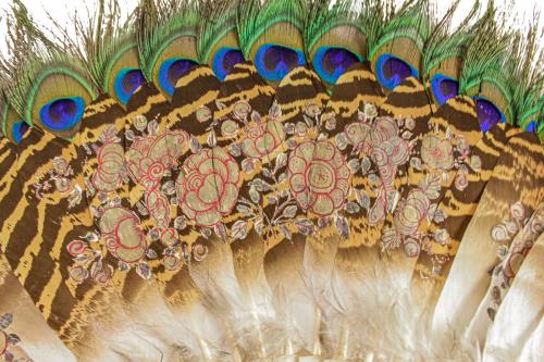 ABANICO DE HUESO Y PLUMAS DE PAVO REAL