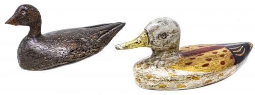 DOS PATOS DE "RECLAMO" 
