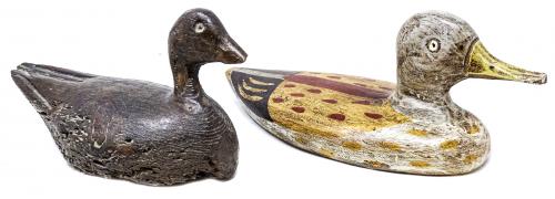 DOS PATOS DE "RECLAMO" 