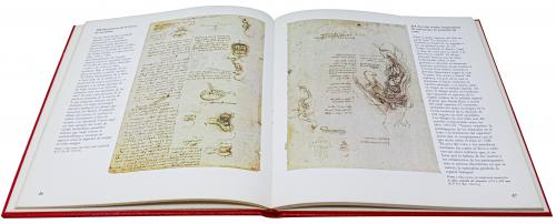 "DISEÑOS ANATÓMICOS DE LEONARDO DA VINCI"