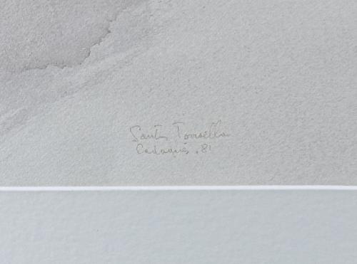 SANTOS TORRUELLA, RAFAEL