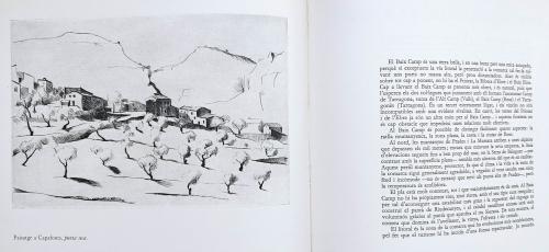 LES COMARQUES DEL PRINCIPAT.  