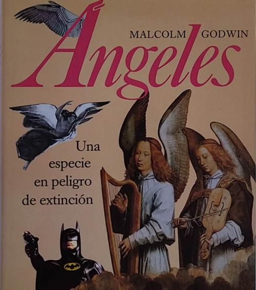 ÁNGELES:  UNA ESPECIE EN PELIGRO DE EXTINCIÓN. 