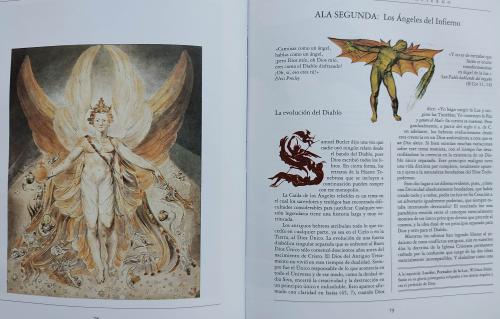 ÁNGELES:  UNA ESPECIE EN PELIGRO DE EXTINCIÓN. 