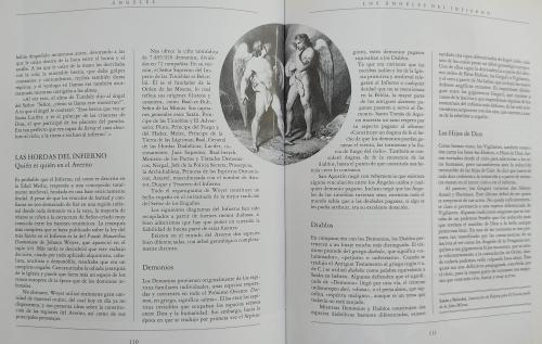 ÁNGELES:  UNA ESPECIE EN PELIGRO DE EXTINCIÓN. 