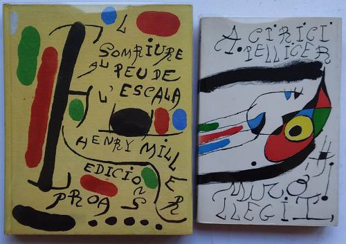 DOS LIBROS:    1. EL SOMRIURE AL PEU DE L’ESCALA.  