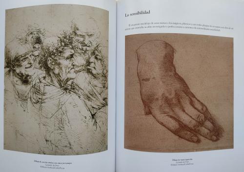 LEONARDO DA VINCI:  ANATOMÍA DE LA VIDA.  