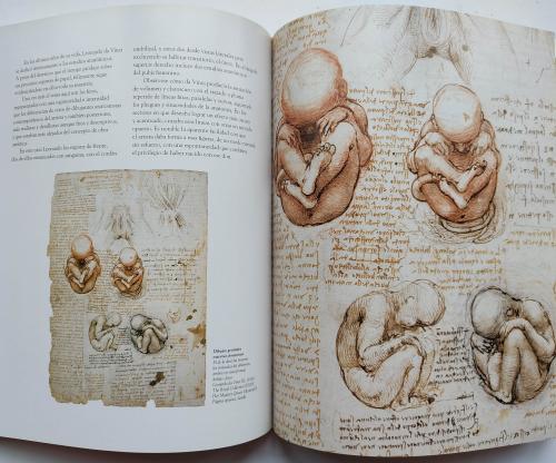 LEONARDO DA VINCI:  ANATOMÍA DE LA VIDA.  