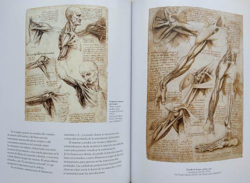 LEONARDO DA VINCI:  ANATOMÍA DE LA VIDA.  