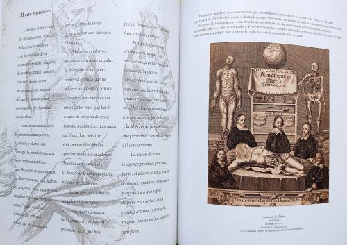 LEONARDO DA VINCI:  ANATOMÍA DE LA VIDA.  