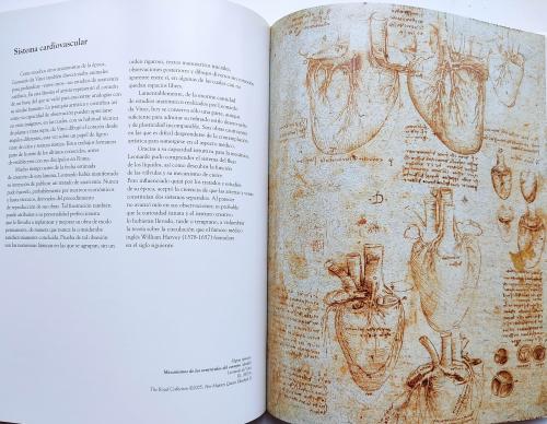 LEONARDO DA VINCI:  ANATOMÍA DE LA VIDA.  