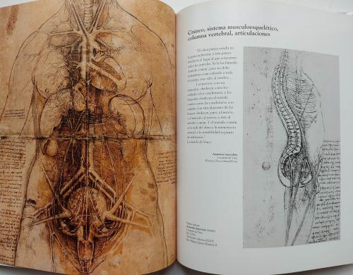 LEONARDO DA VINCI:  ANATOMÍA DE LA VIDA.  