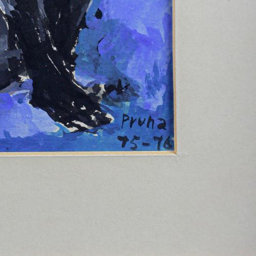 PRUNA OCERANS, PERE