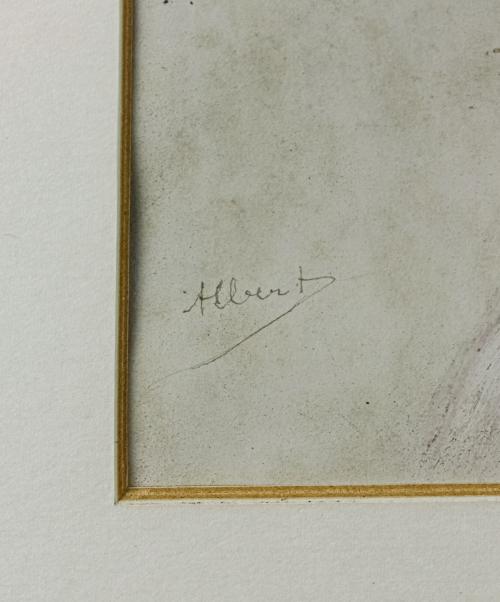 ALBERT