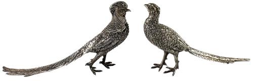 PAREJA DE FAISANES DE PLATA MEJICANA